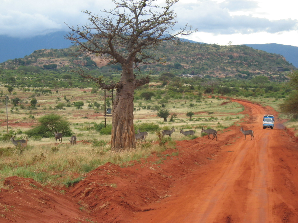 African_safari_route