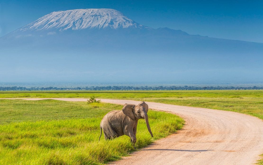 amboseli-national-park-1110x700