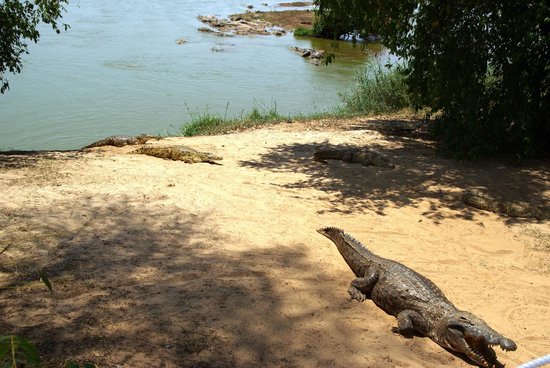 galana-crocodile-camp (1)